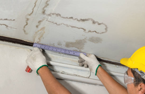 Reliable Burst Pipe Cleanup contractor in Tracy, MN by Water Damage Irwin